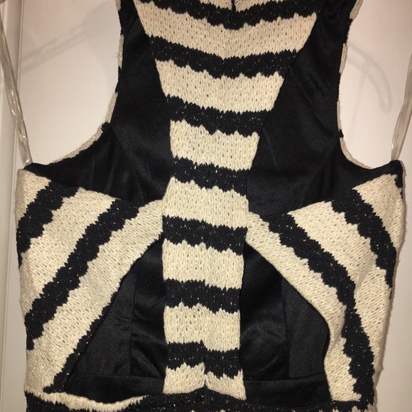 NWT Fabrik Beige and Black Stripe Dress - Picture 3 of 5
